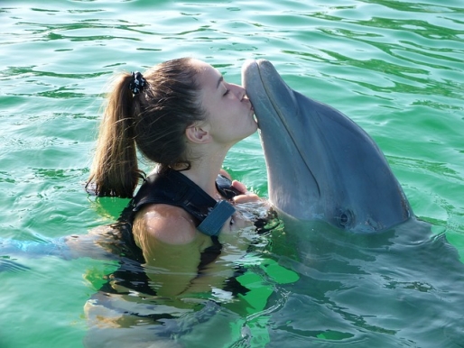 Колко умни всъщност са делфините?